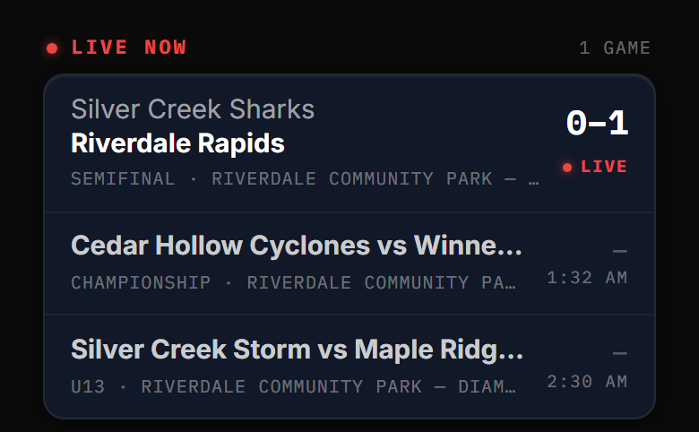 A phone-width view of the tournament’s public standings page: the playoff bracket, both semifinals complete and the championship matchup already filled in.